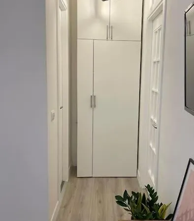 Colosseo Living Roma